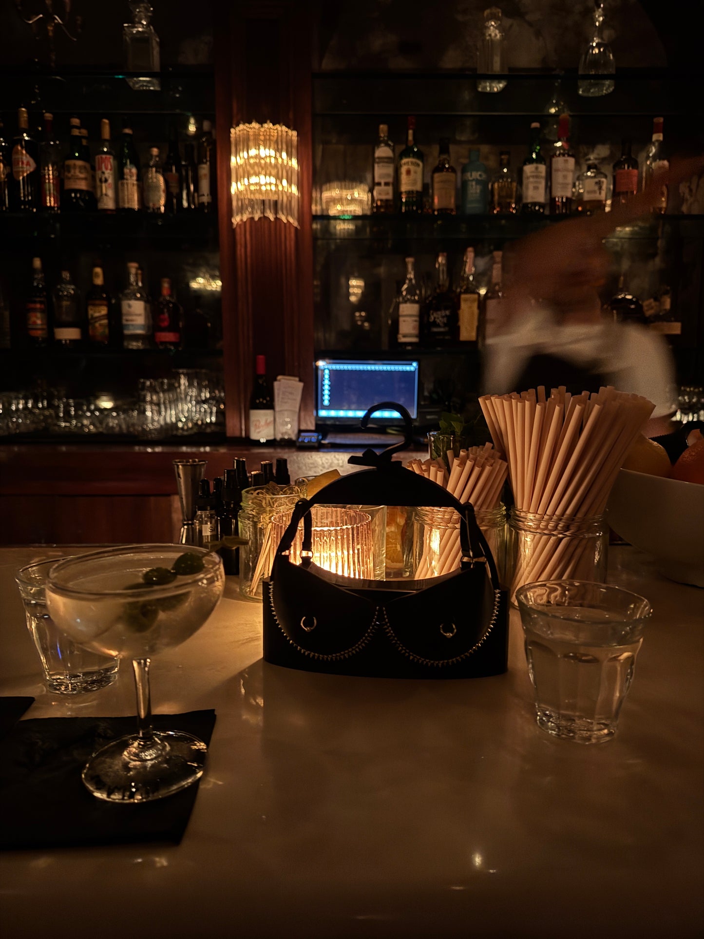 RIOTTE — Rich Object™ Bra Purse